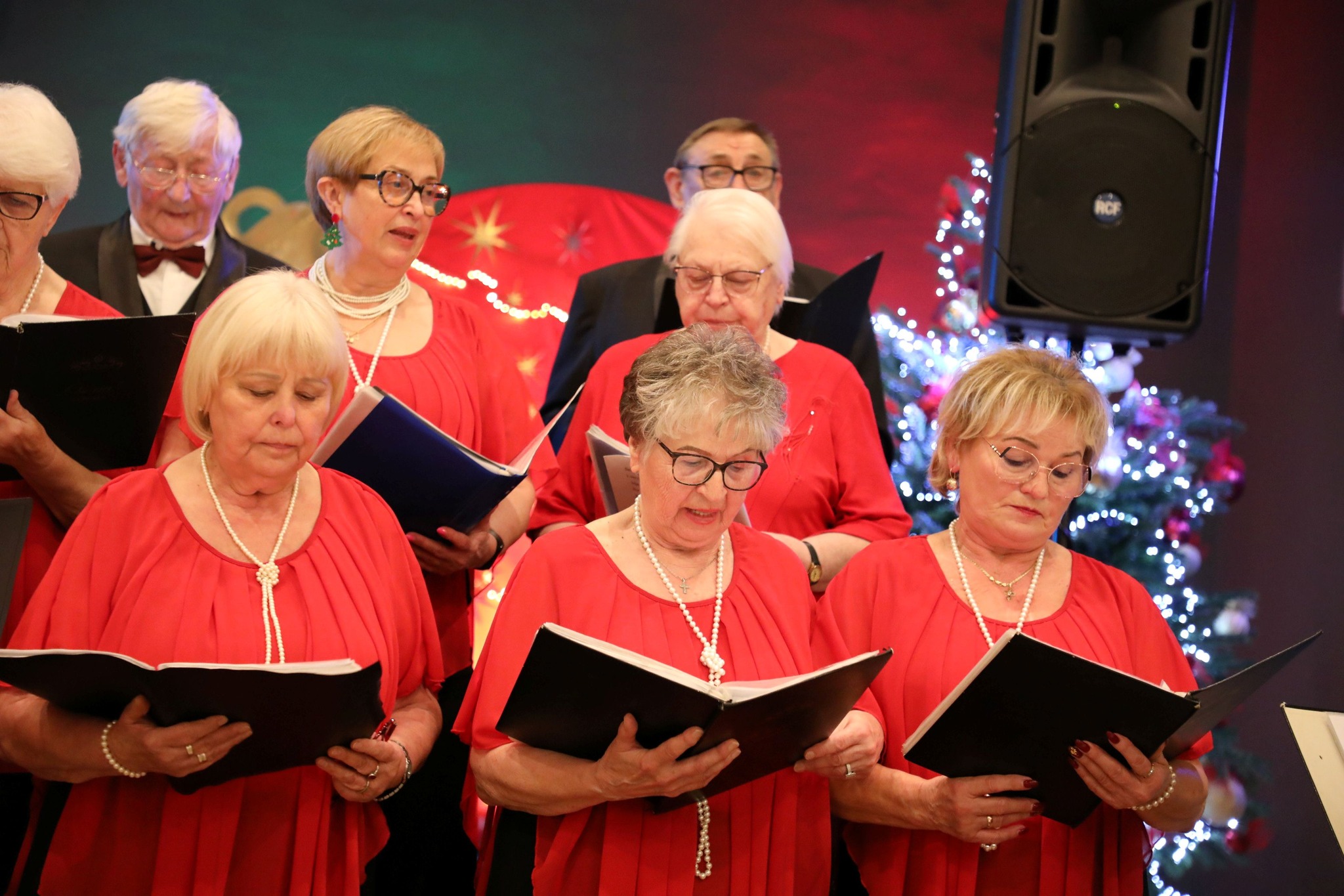 600308822_878746677847218_5298355667501804837_n